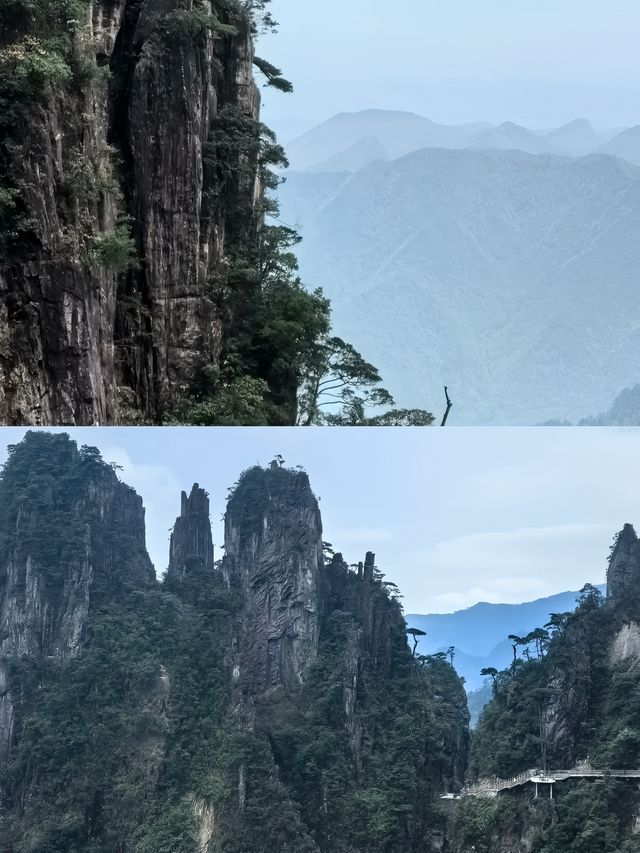 宜章受罪已回，實話拒噴
