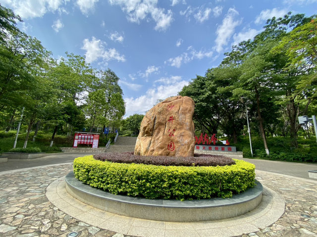 ☀️陽光下的沙井公園🌴✨城市中自然綠洲
