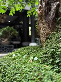 探索古城韻味，古色酒店等你入住！