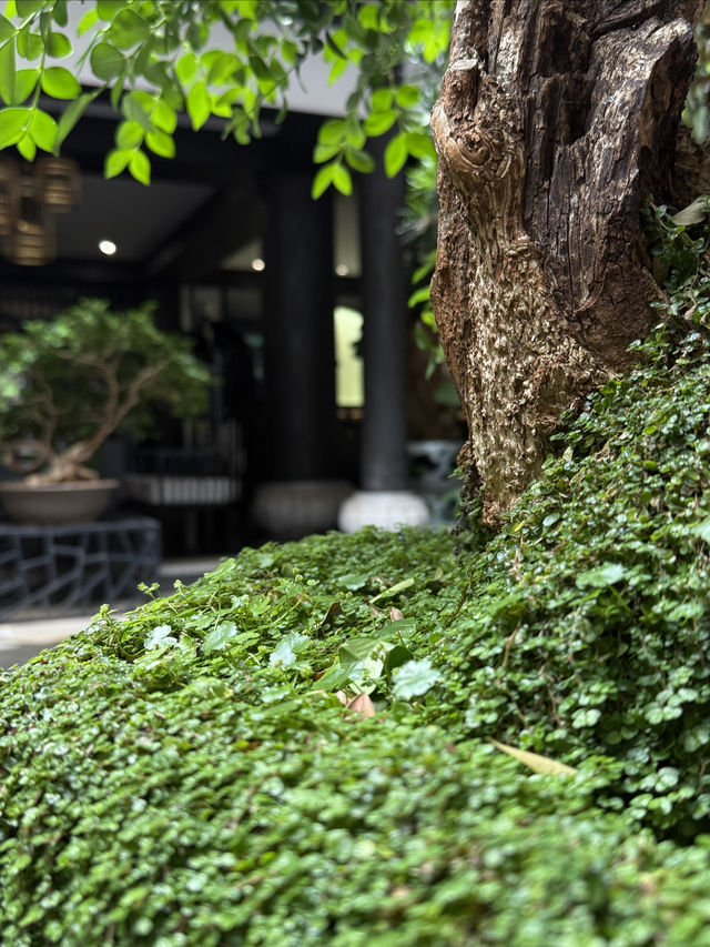 探索古城韻味，古色酒店等你入住！