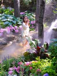 北京1.5小時直達！闖進宮崎駿嘅夏日莫奈花園