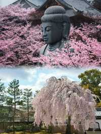 日本嘅威尼斯。京都竟然隱藏咗咁嘅地方。