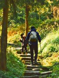 都江堰行山 | 10條經典親子入門行山路線大集合！