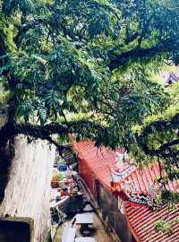 漳州雲蓋寺：天工雕琢的夢幻之境