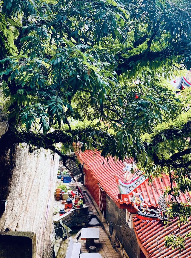 漳州雲蓋寺：天工雕琢的夢幻之境