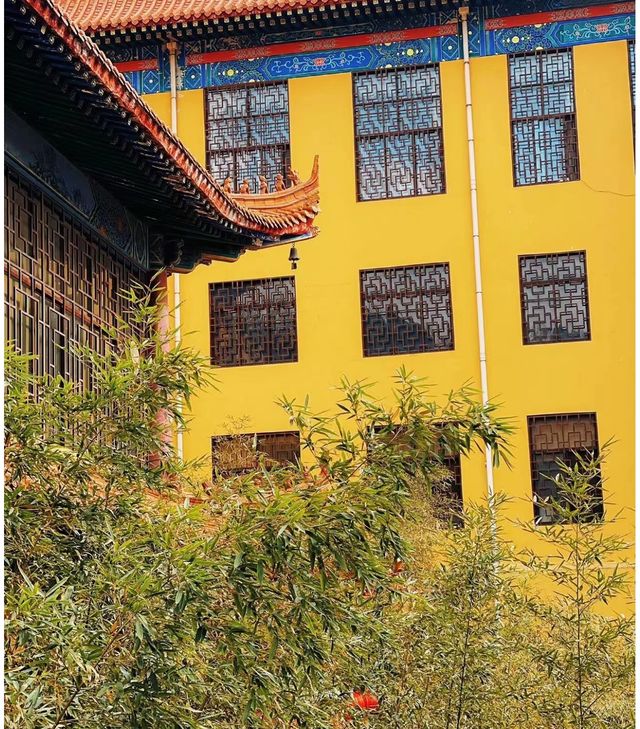 博山與張店：一場動靜皆宜的靜心之旅
