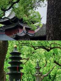 海天佛國，心靈歸宿——在浪花與梵音中沉醉