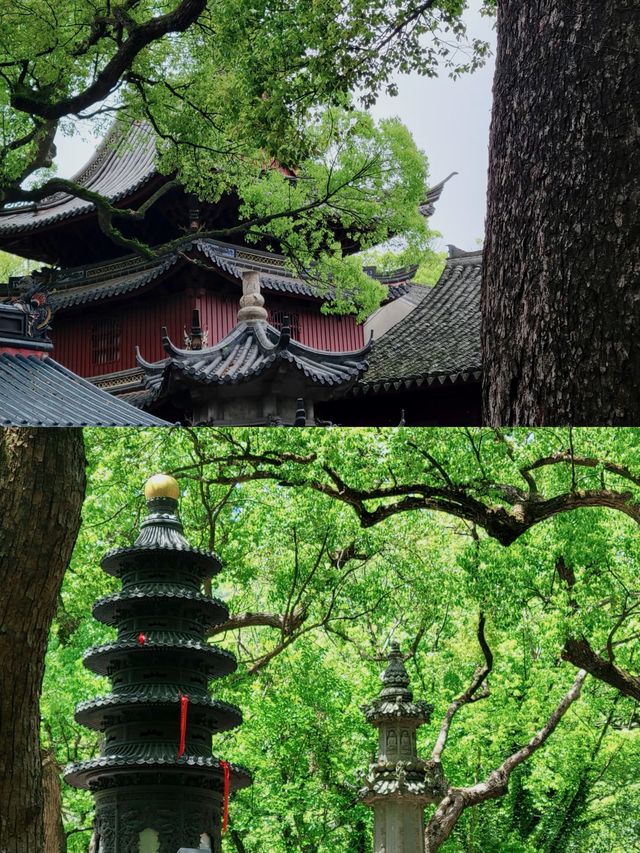 海天佛國，心靈歸宿——在浪花與梵音中沉醉