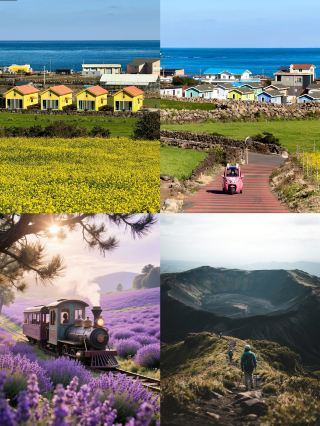 Jeju Island Travel Guide That Blew Up My Social Media (Only 2K per person) 🫧