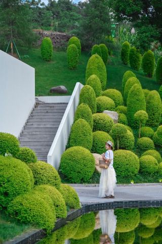 ฉันถ่ายภาพ "อลิซในแดนมหัศจรรย์" ที่ไท่ซุ่นได้～