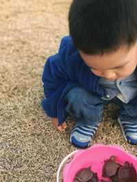 上海嘅民宿已經next level真係唔係外國