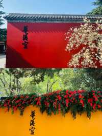 《打卡華清宮：一步一景，盡覽古今傳奇》