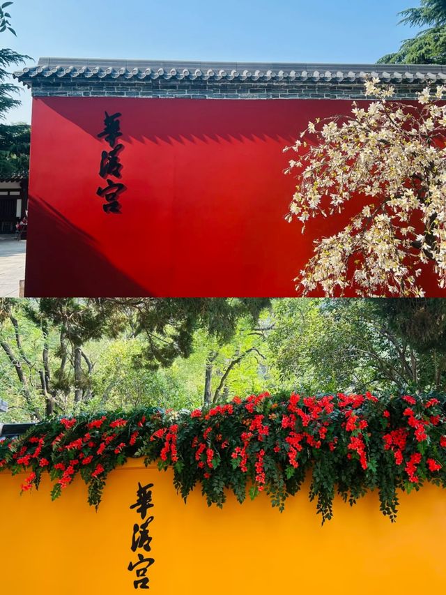 《打卡華清宮：一步一景，盡覽古今傳奇》