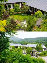 大連山居秋暉｜偶遇嘅半山民宿，將暑假過成詩