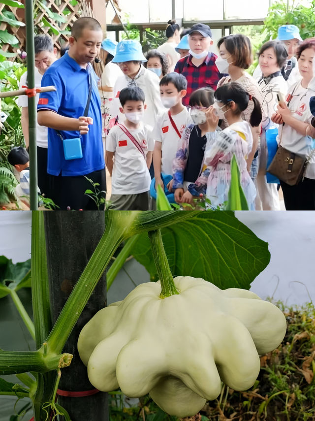 暑假畀小朋友一個超型嘅航天之旅丨硬核又浪漫