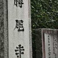 大阪小眾秘境！勝尾寺超詳細打卡攻略✨ 
