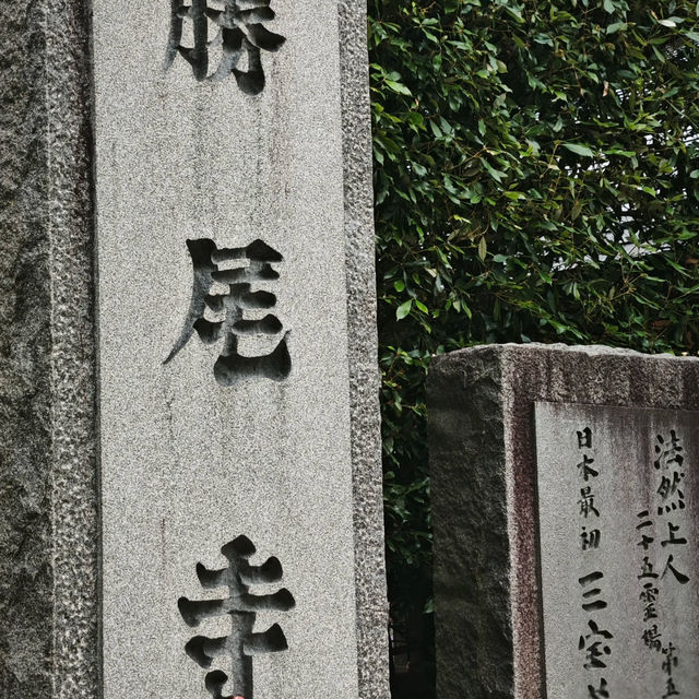 大阪小眾秘境！勝尾寺超詳細打卡攻略✨ 