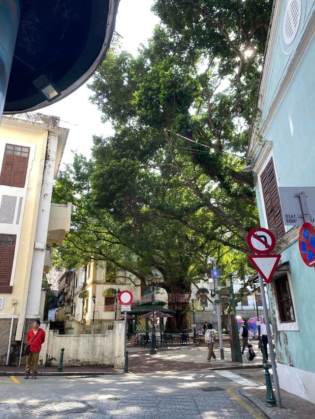 從香港出發到澳門亞婆井前地的跨境交通攻略 