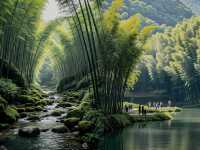 探秘蜀南竹海，沉醉於綠色夢境