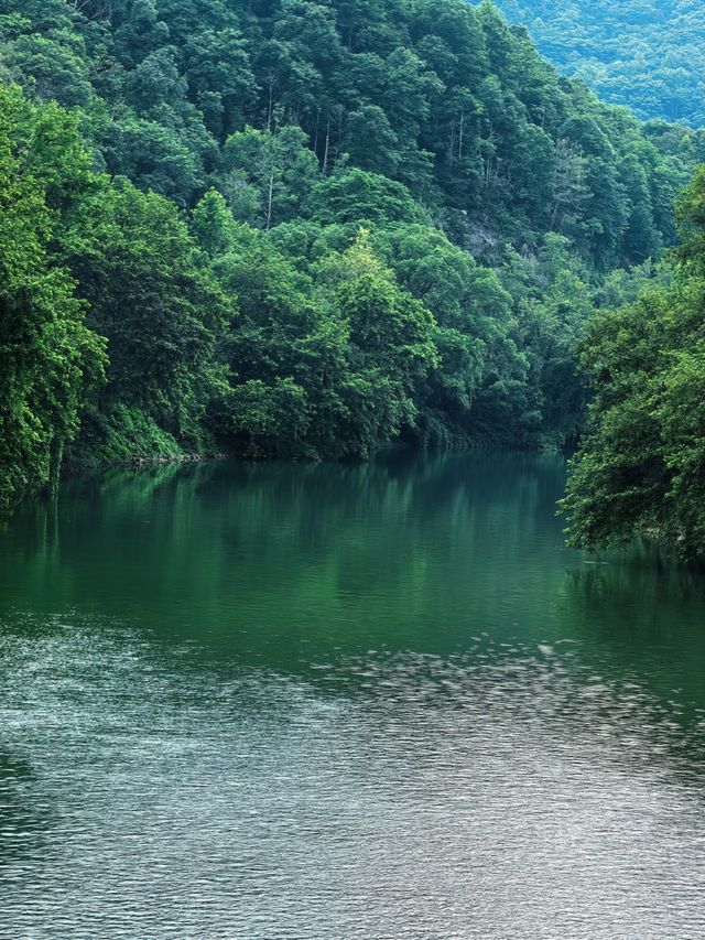 清幽涼爽嘅夏季玩水好去處