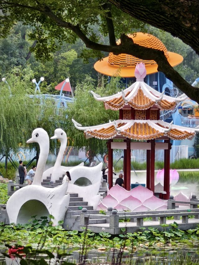 《「荷你有約」：宜昌兒童公園荷花節浪漫來襲》