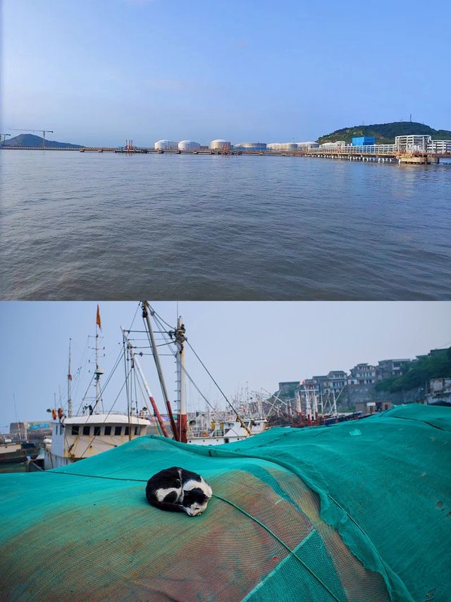 跟風前往嵊泗！上海周邊寶藏海島太靚啦