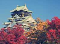 **【穿越時空的浪漫！大阪城公園親身體驗全記錄】**  