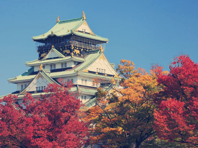 **【穿越時空的浪漫！大阪城公園親身體驗全記錄】**  