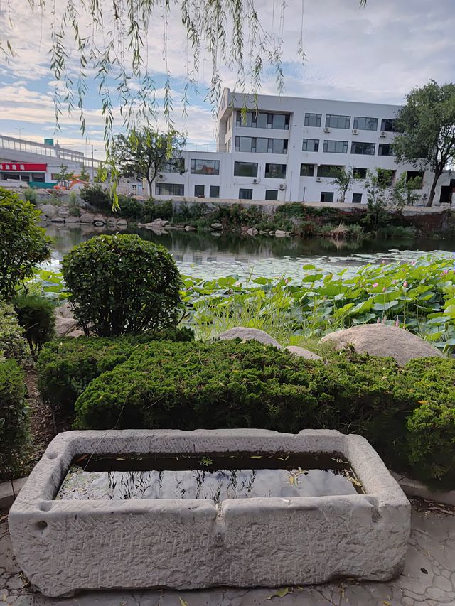 閒遊板橋坊河之三湖公園