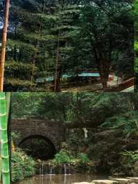 莫干山2日1夜遊攻略｜江浙滬避暑首選