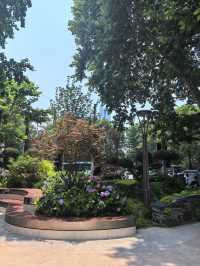 衡山花園：衡山路旁嘅海派風情口袋公園