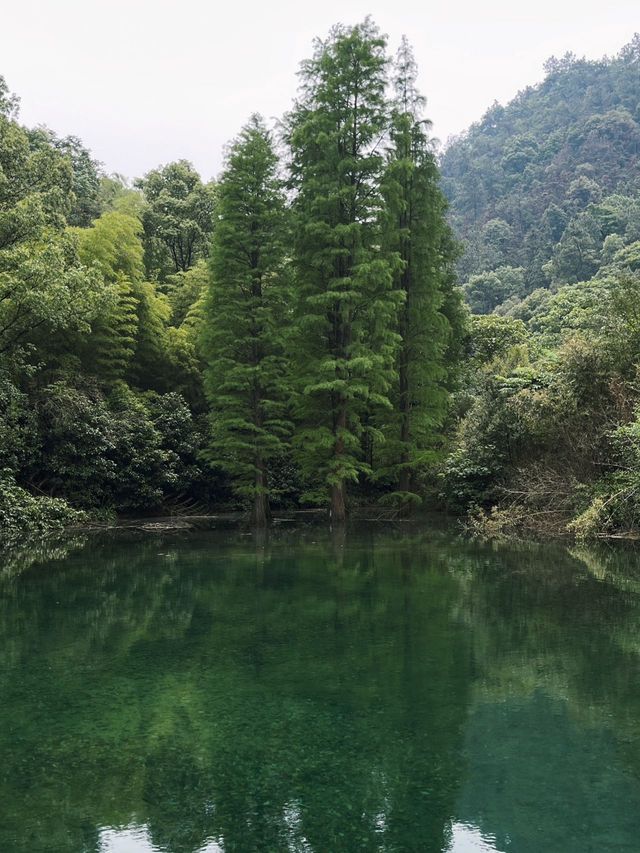 長沙最正嘅地方都係免費嘅……（暑假版）