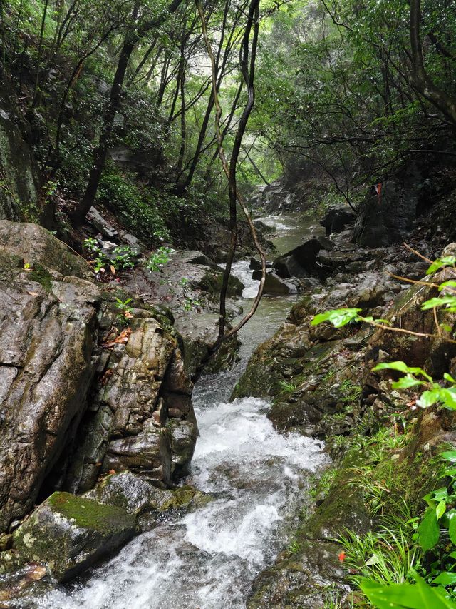 寧波秘境虹嶺古道·綠野仙蹤般的溯溪天堂