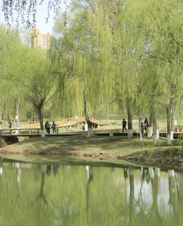安寧銀灘濕地公園