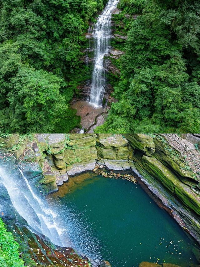 雅安碧峰峽已回，亂讀中。。。。。