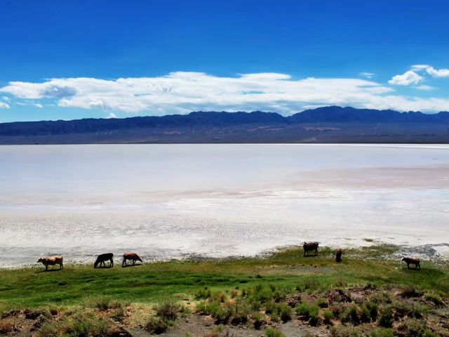 七月探索烏魯木齊鹽湖景區：鹽海之上的夢幻奇景   七月，陽光熾熱，烏魯木齊鹽湖景區宛如一顆璀璨嘅明