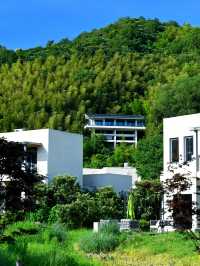 測評50間寵物友善酒店（27）長興花間堂·沂水