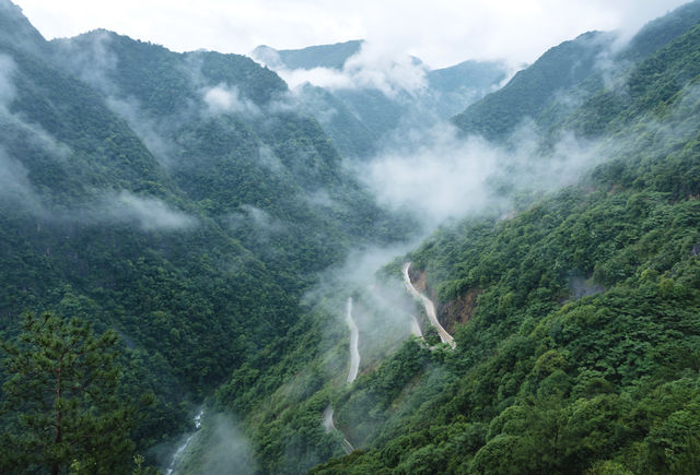 雲煙繚繞，落雨嘅浙南秘境太靚啦