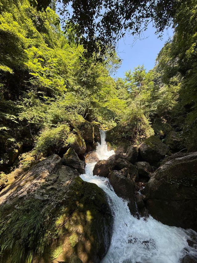 夏日消暑推介！青城後山玩水勝地週末快啲去打卡！