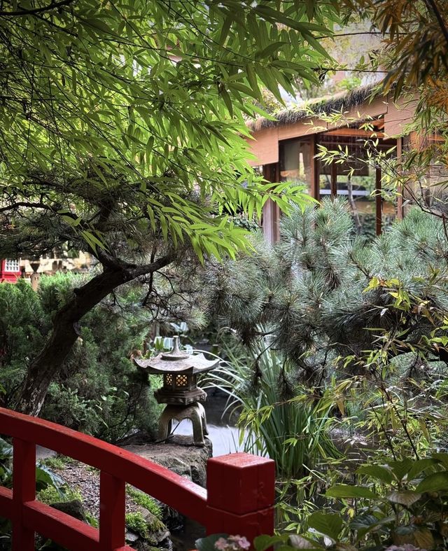 昆明｜隱藏喺翠湖入面嘅絕美小京都 