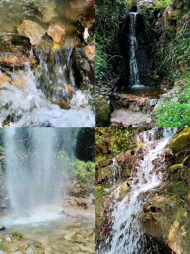 龍口南山旅遊景區｜山海禪意間的心靈療癒之旅