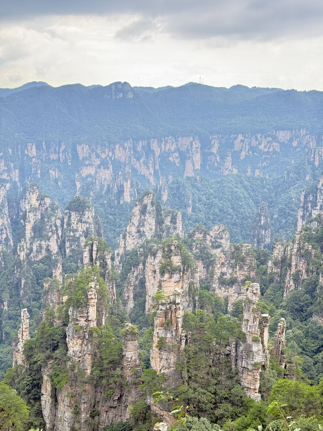 Real-Life Avatar World in Zhangjiajie Real-Life Avatar World in Zhangjiajie