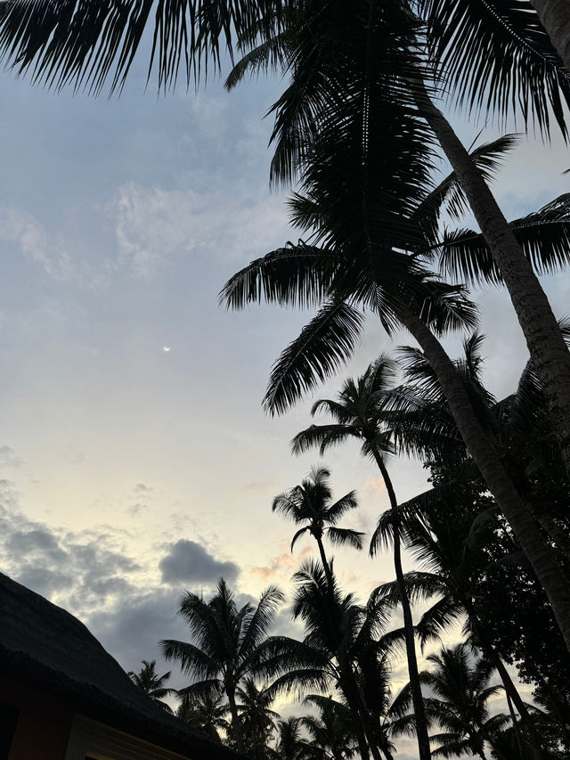 Unforgettable Experience at Constance Lemuria