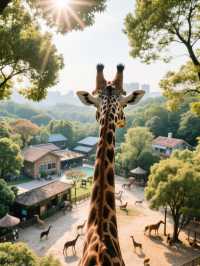 红山动物园新区·必打卡亮點 沉浸式動物展區