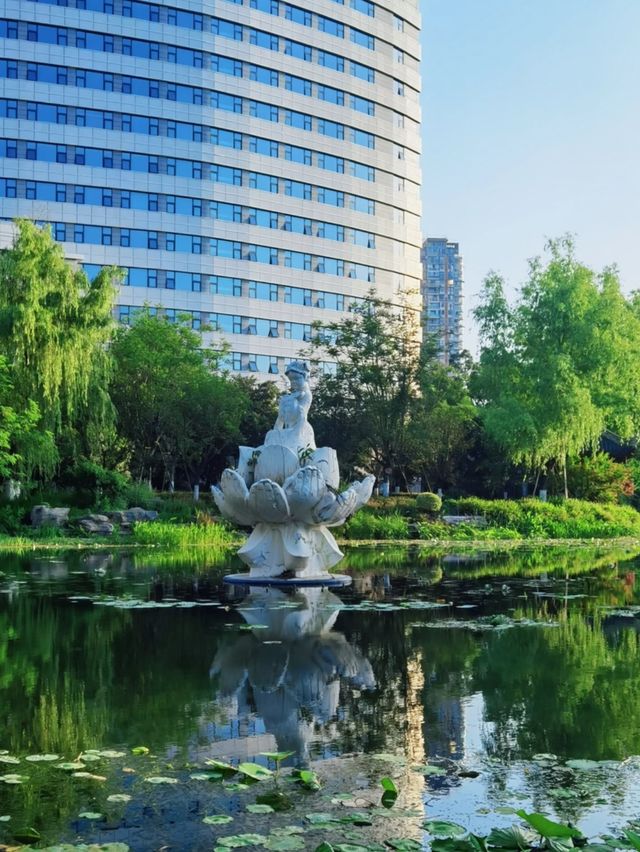 南充歡迎您 南充歡迎您