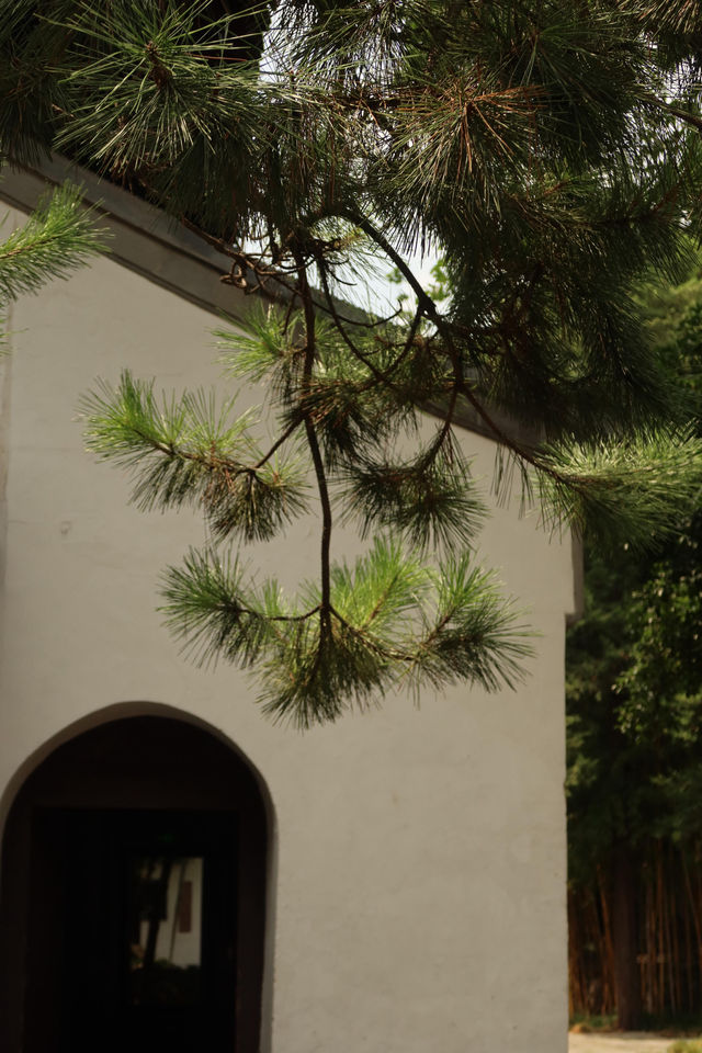 好的,大明寺是中國一座歷史悠久、地位崇高的著名佛教寺院。它最廣為人知的是與唐代高僧鑒真的深厚淵源。  好的,大明寺是中國一座歷史悠久、地位崇高的著名佛教寺院。它最廣為人知的是與唐代高僧鑒真的深厚淵源。