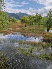 The "Grass Sea" by Luguhu Lake​