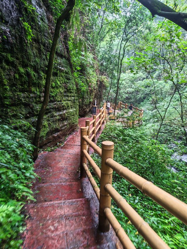 綠野深處秘境路線