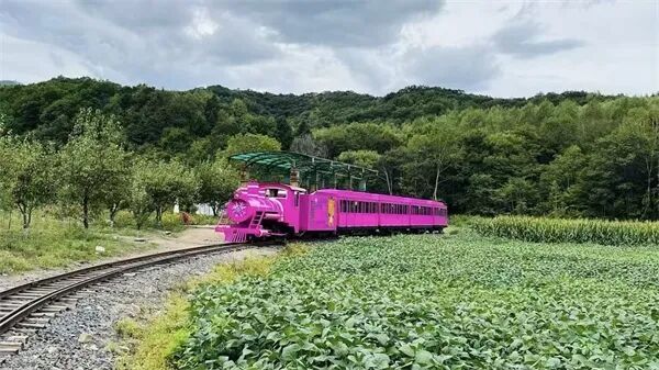 亞布力暖居別墅·3天2晚深度遊攻略：滑雪、溫泉、熊貓一站式打