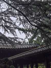 雨中環翠樓絕美意境